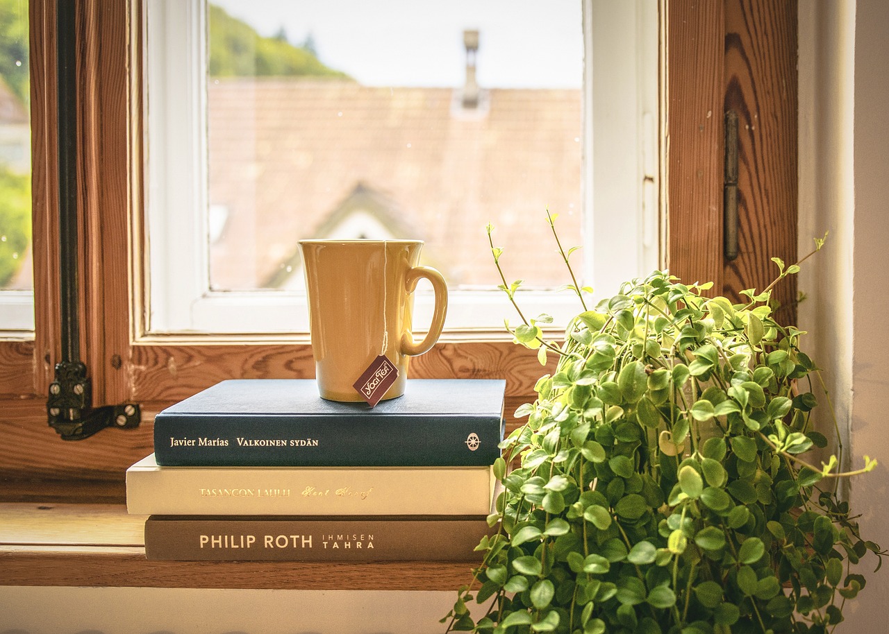 DIY vs. Professional: Choosing a Home Security System
